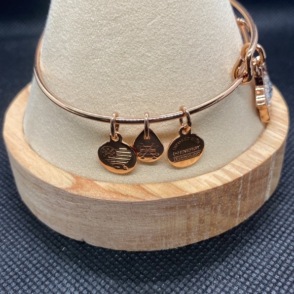 Alex & Ani Disney Parks Mickey Icon ❄️Snowflake❄️Holiday Bangle Bracelet/NWOT - Picture 2 of 7